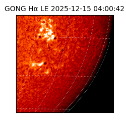 gong - 2025-12-15T04:00:42