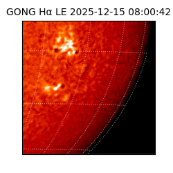gong - 2025-12-15T08:00:42
