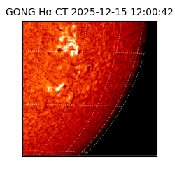 gong - 2025-12-15T12:00:42