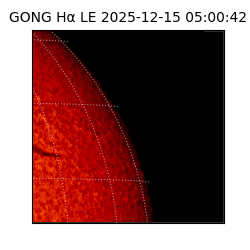 gong - 2025-12-15T05:00:42