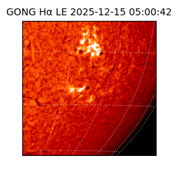 gong - 2025-12-15T05:00:42