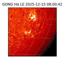 gong - 2025-12-15T08:00:42