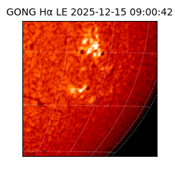 gong - 2025-12-15T09:00:42