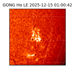 gong - 2025-12-15T01:00:42