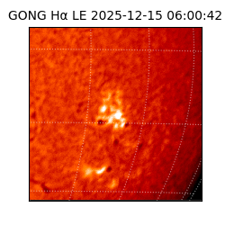 gong - 2025-12-15T06:00:42