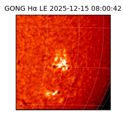 gong - 2025-12-15T08:00:42