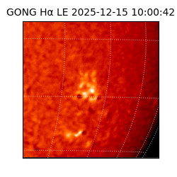 gong - 2025-12-15T10:00:42