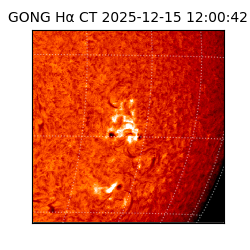 gong - 2025-12-15T12:00:42