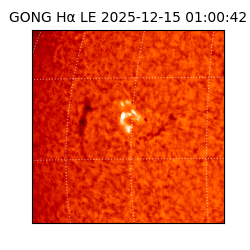 gong - 2025-12-15T01:00:42