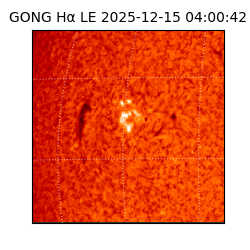 gong - 2025-12-15T04:00:42