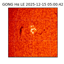 gong - 2025-12-15T05:00:42