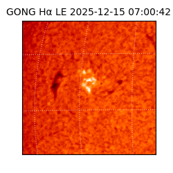 gong - 2025-12-15T07:00:42