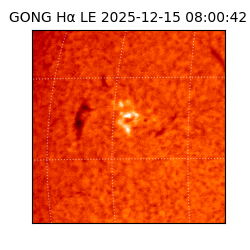 gong - 2025-12-15T08:00:42