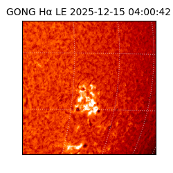 gong - 2025-12-15T04:00:42