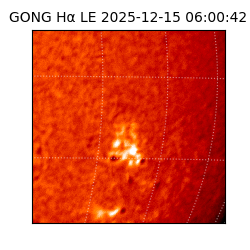 gong - 2025-12-15T06:00:42