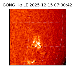 gong - 2025-12-15T07:00:42