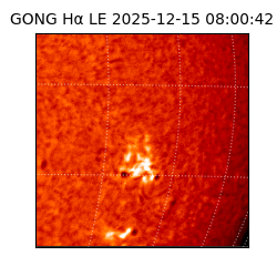 gong - 2025-12-15T08:00:42