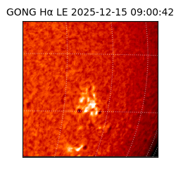 gong - 2025-12-15T09:00:42