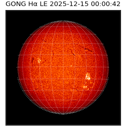 gong - 2025-12-15T00:00:42