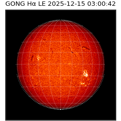 gong - 2025-12-15T03:00:42