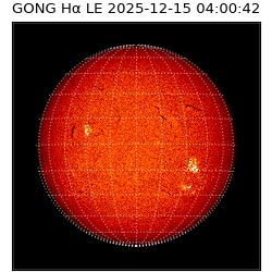 gong - 2025-12-15T04:00:42