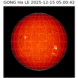 gong - 2025-12-15T05:00:42