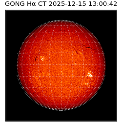gong - 2025-12-15T13:00:42