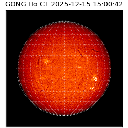 gong - 2025-12-15T15:00:42