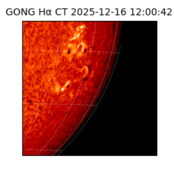 gong - 2025-12-16T12:00:42