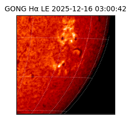 gong - 2025-12-16T03:00:42