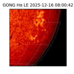 gong - 2025-12-16T08:00:42