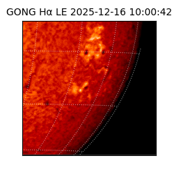 gong - 2025-12-16T10:00:42