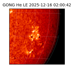 gong - 2025-12-16T02:00:42