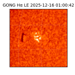 gong - 2025-12-16T01:00:42