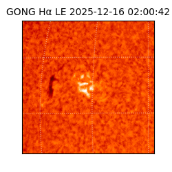 gong - 2025-12-16T02:00:42