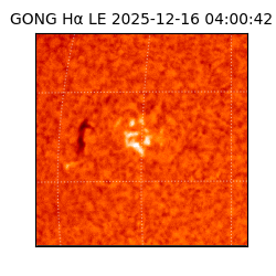 gong - 2025-12-16T04:00:42