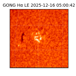 gong - 2025-12-16T05:00:42