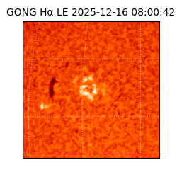 gong - 2025-12-16T08:00:42