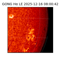 gong - 2025-12-16T08:00:42