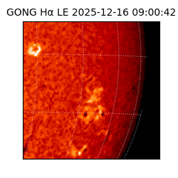 gong - 2025-12-16T09:00:42