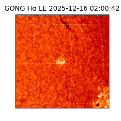 gong - 2025-12-16T02:00:42