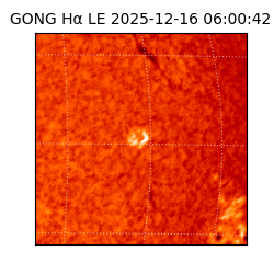 gong - 2025-12-16T06:00:42