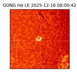 gong - 2025-12-16T08:00:42