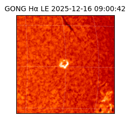 gong - 2025-12-16T09:00:42