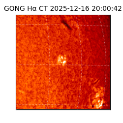 gong - 2025-12-16T20:00:42