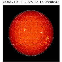 gong - 2025-12-16T03:00:42