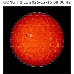 gong - 2025-12-16T09:00:42