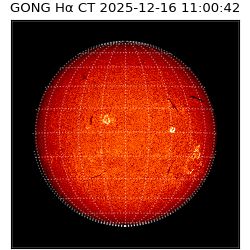 gong - 2025-12-16T11:00:42