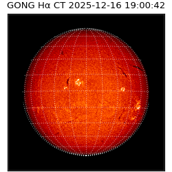 gong - 2025-12-16T19:00:42