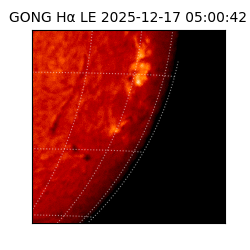 gong - 2025-12-17T05:00:42